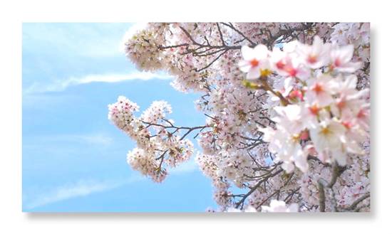 image002.jpg image002.jpg